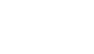 iZoom Transport Logo for use in search engine searches